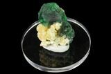 Apple-Green Fluorite Crystals with Muscovite - Erongo Mountains #169368-1